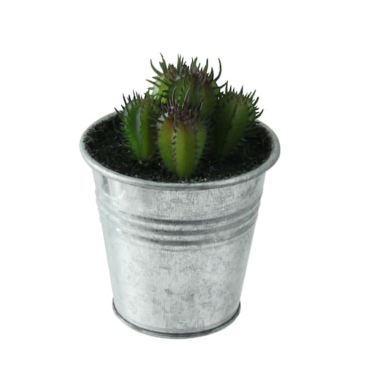 3.5" Green Mini Cactus Plants in Tin Pot By Northlight in Silver | Michaels®